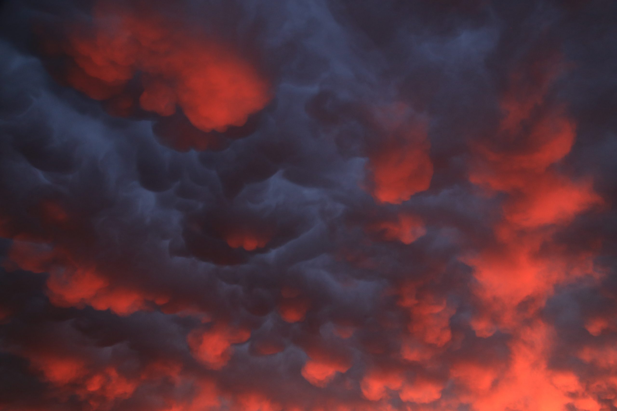 Red Clouded Sky