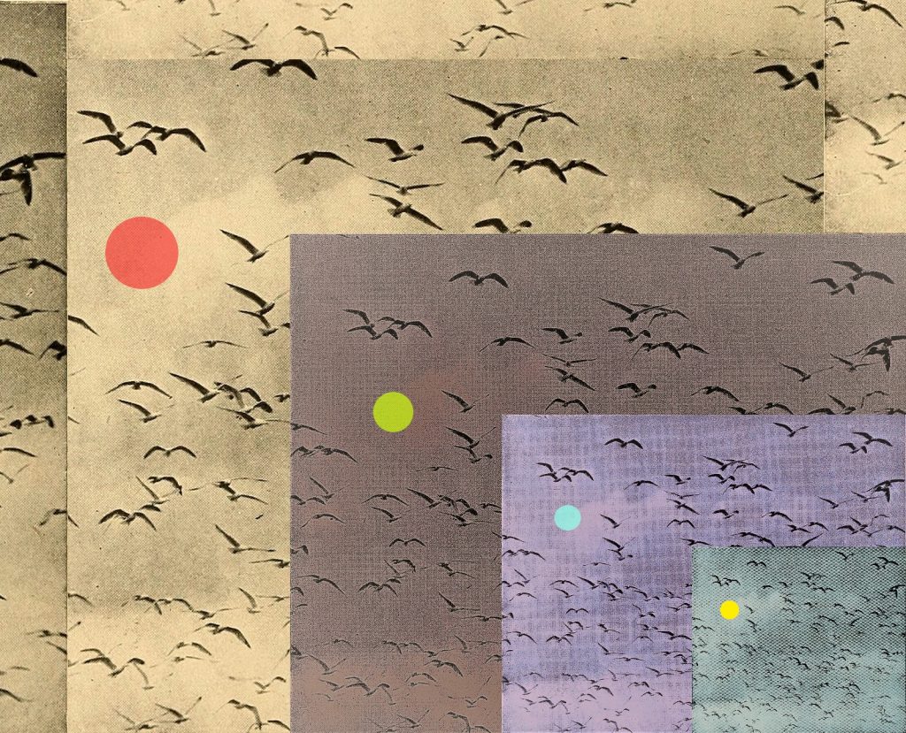 "Birds and Dots" by Kirk Sever