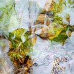 Ice and moss book cover; You're the Woods Too by Dennis James Sweeney