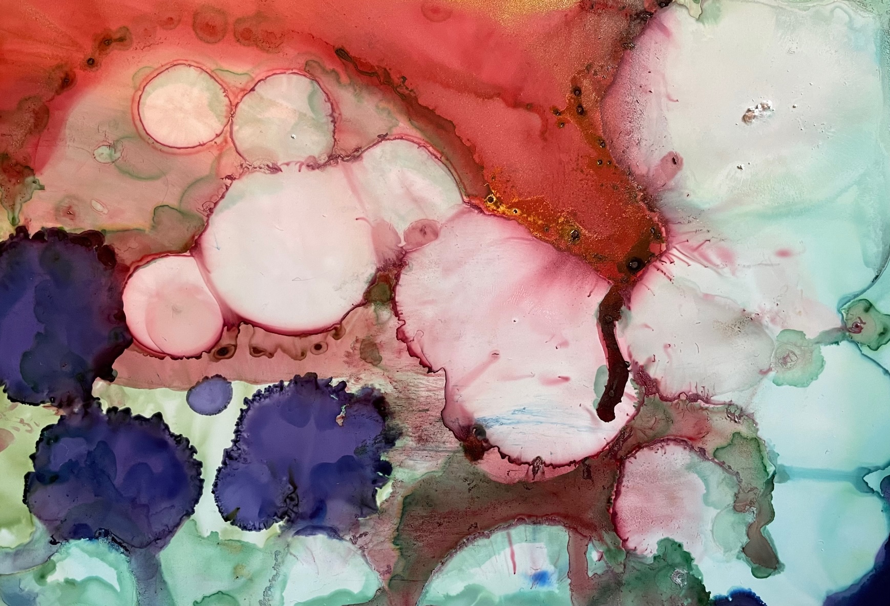 <i> Covid Colors </i>