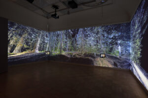 A room with virtual glowing trees on a large screen.