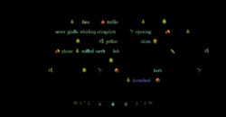 Words on a black screen.