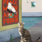Gray, black, and white cat at center of image, looking up at maroon poster with red/orange cracked letters spelling peace, water, air, food, shelt (sideways) in all caps. black and white bird perched against the poster. Green wall. floor is broken into quadrants, blues, purple, gray. Wall in background has a small window with green leaves and blue sky. Wall is beige and gray.