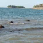 Photo of water, rocks, island in the background