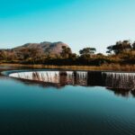 Photo of trees reflecting in water