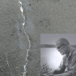 Jagged crack in concrete wall with inset black and white photograph of a man examining plants by a lake
